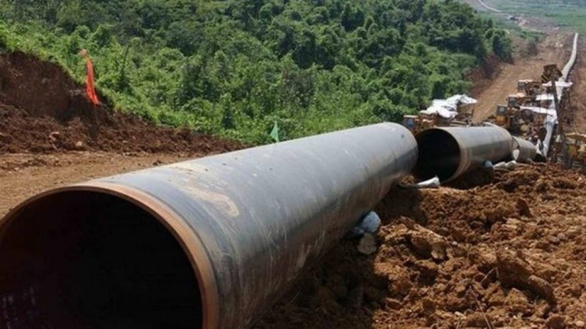 Ένας χρόνος δωρεάν διανομής λιπασμάτων και δενδρυλλίων από τον ΤΑΡ
