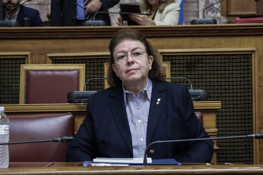 Μενδώνη: Η Υπηρεσία δεν γνώριζε την ύπαρξη της Συλλογής Στερν