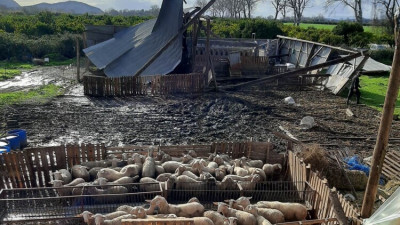 Κακοκαιρία: Ζημιές €30.000 από ανεμοστρόβιλο σε κτηνοτροφική μονάδα στο Μεσολόγγι