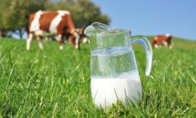 Εισήγηση ΕΛΓΟ-ΔΗΜΗΤΡΑ για πρόστιμα σε 25 επιχειρήσεις γάλακτος