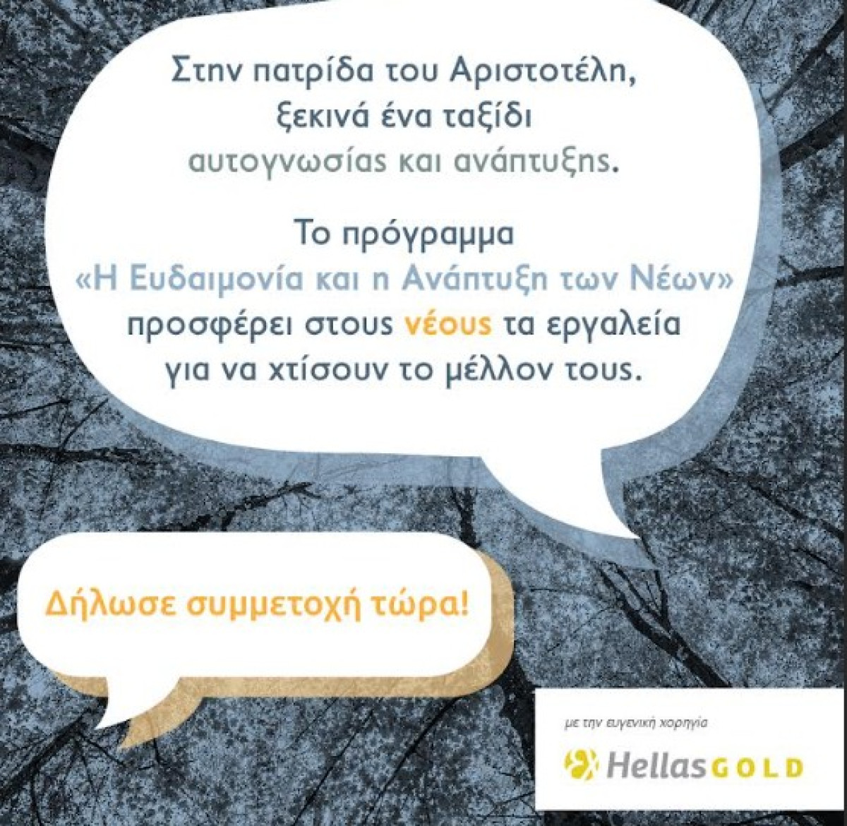 Δήμος Αριστοτέλη και Ελληνικός Χρυσός: Η άνθιση των νέων διαμέσου της Ευδαιμονίας