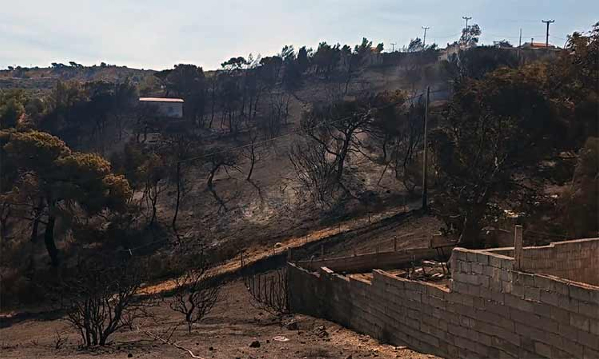 Αποζημιώσεις ως €6.000 για την πυρκαγιά στην Ανατολική Αττική: Τι πρέπει να κάνουν οι δικαιούχοι