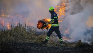 Υπό έλεγχο η πυρκαγιά στην Περιφερειακή Αιγάλεω