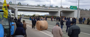 Παρέμβαση Αρείου Πάγου για τα μπλόκα των αγροτών: Άμεση ποινική δίωξη για παρακώλυση συγκοινωνιών