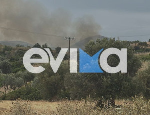 Μεγάλη φωτιά στην Εύβοια– 112 στους κατοίκους του Αλμυροποτάμου (photos)