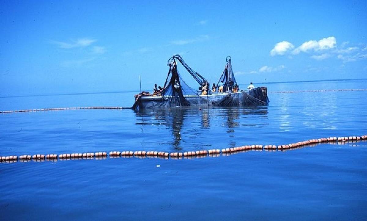 Έρχονται επιδοτήσεις τουλάχιστον 3 εκατ. ευρώ για τους αλιείς