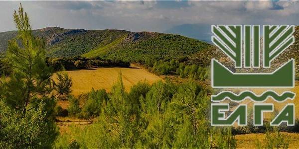ΕΛΓΑ: Καταβάλλονται αποζημιώσεις 1,668 εκατ. ευρώ σε 915 δικαιούχους