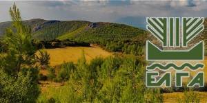 ΕΛΓΑ: Καταβάλλονται αποζημιώσεις 1,668 εκατ. ευρώ σε 915 δικαιούχους