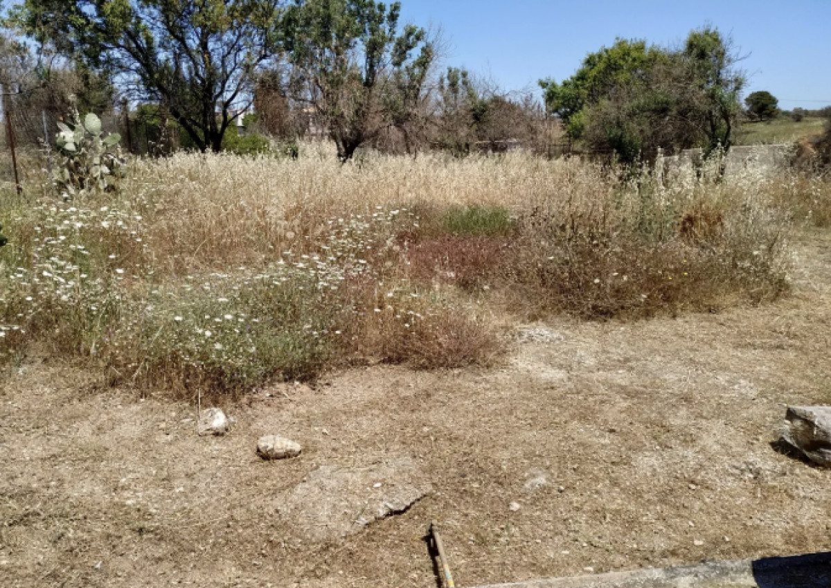 Παράταση έως τις 15 Ιουνίου η διαδικασία καθαρισμού των οικοπέδων