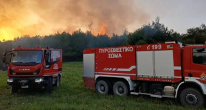 Ζάκυνθος: Φωτιά στην περιοχή Κοιλιωμένος