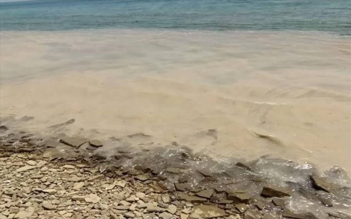 Λήμνος: Κλιμάκιο του ΥΠΕΝ για το «τουρκικό» φαινόμενο του ευτροφισμού