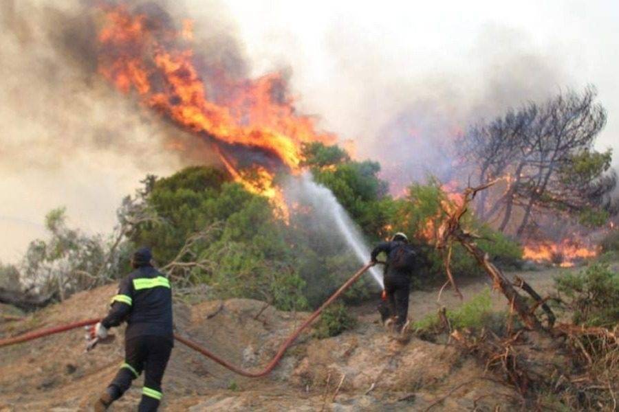Υπό μερικό έλεγχο η πυρκαγιά στη Σάλακο Ρόδου
