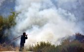 Πυρκαγιές στην Αττική: Έως και 30 χρόνια η αποκατάσταση