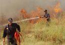 Πυρκαγιές: Σε εξέλιξη πύρινα μέτωπα σε Ηλεία, Ρόδο και Μαγούλα