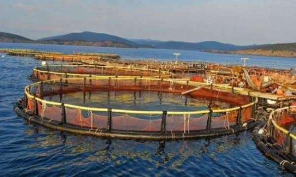 Νηρεύς: Στα 51 εκατ. το τίμημα της πώλησης παραγωγικών εγκαταστάσεων