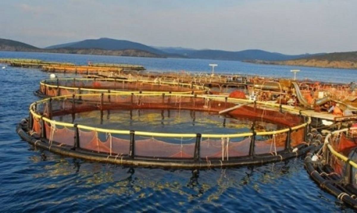 Νηρεύς: Στα 51 εκατ. το τίμημα της πώλησης παραγωγικών εγκαταστάσεων