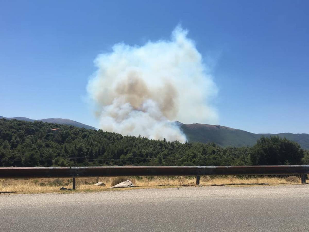 Φωτιά στα Βίλια: Καίγεται δασική έκταση - Εκκενώνονται οικισμοί