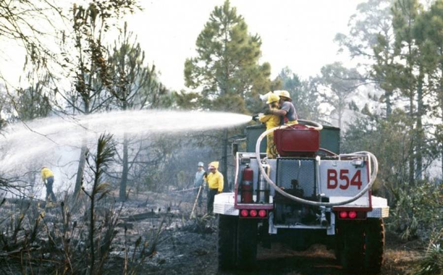 Άμεση προστασία καμένων περιοχών από τη διάβρωση