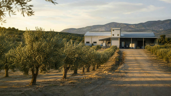 Στρατηγική Συνεργασία Innovad Group & Olea Fortius