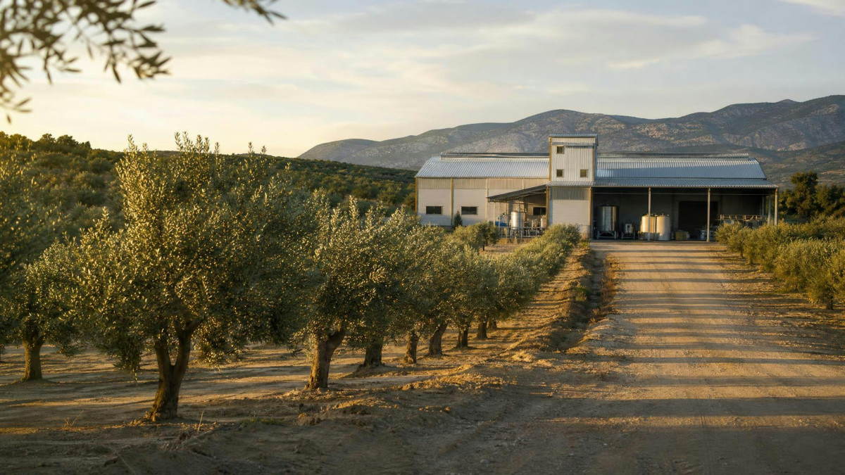 Στρατηγική Συνεργασία Innovad Group &amp; Olea Fortius