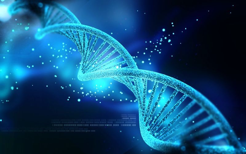 Το DNA αποκαλύπτει πόσο θα ζήσουμε