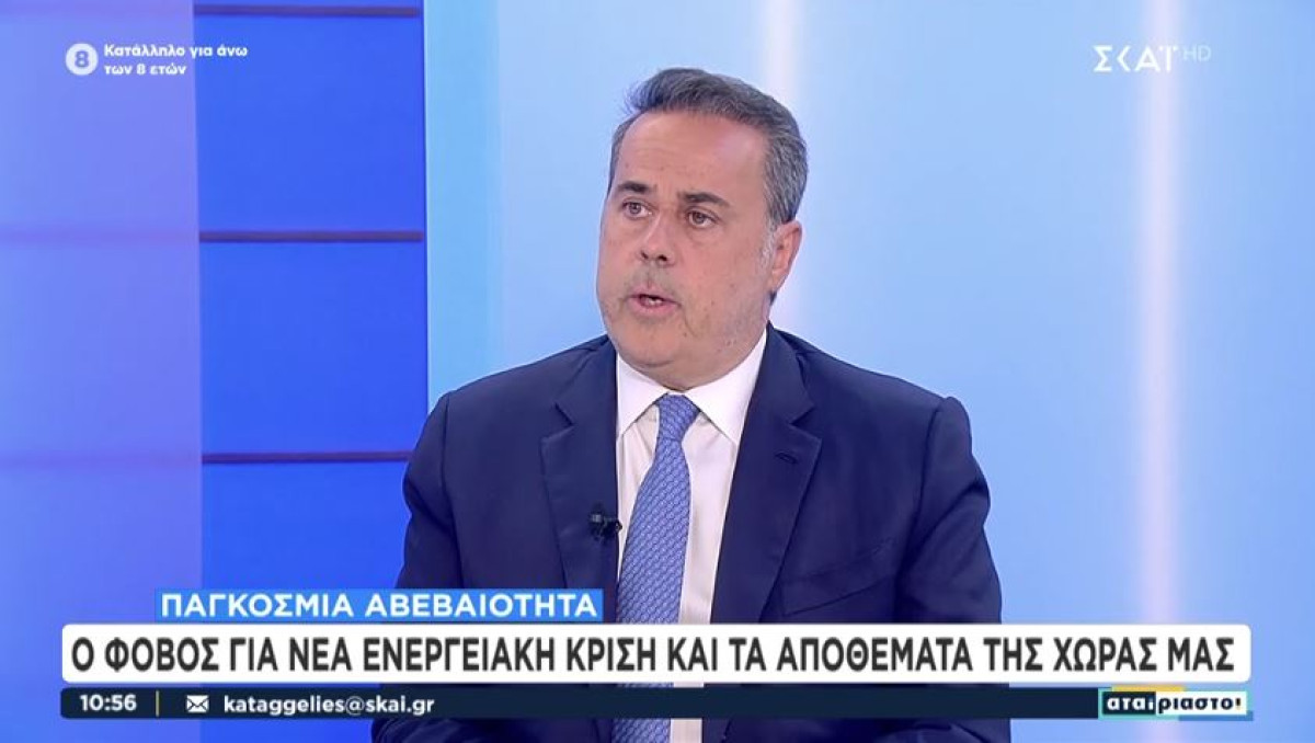 Παπασταύρου: Χρειάζεται κοινή ευρωπαϊκή ενεργειακή πολιτική ενόψει ενδεχόμενης γεωπολιτικής κλιμάκωσης