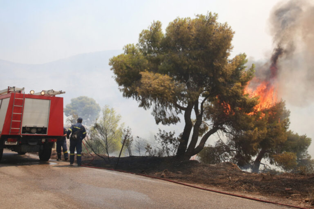 Φωτιά και διακοπή κυκλοφορίας στον Ε65 κοντά στον Γοργοπόταμο - Τροχαίο λόγω του καπνού