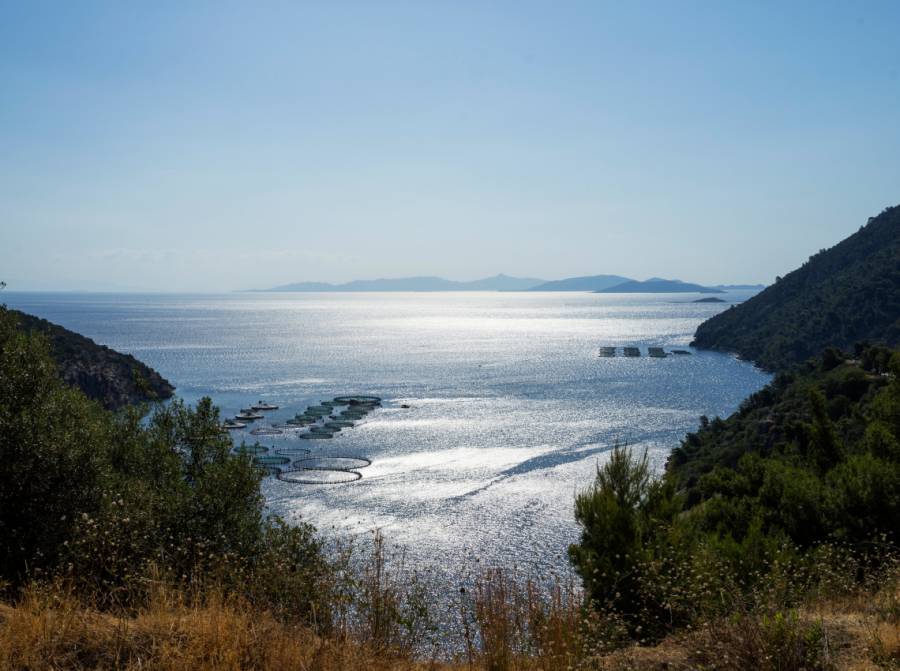 Ιχθυοκαλλιέργεια: Χωροταξικό και χρηματοδότηση στο επίκεντρο ΓΣ της ΕΛΟΠΥ