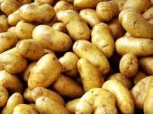 Stop στις παράνομες ελληνοποιήσεις πατάτας βάζει η ΕΑΣ Νάξου