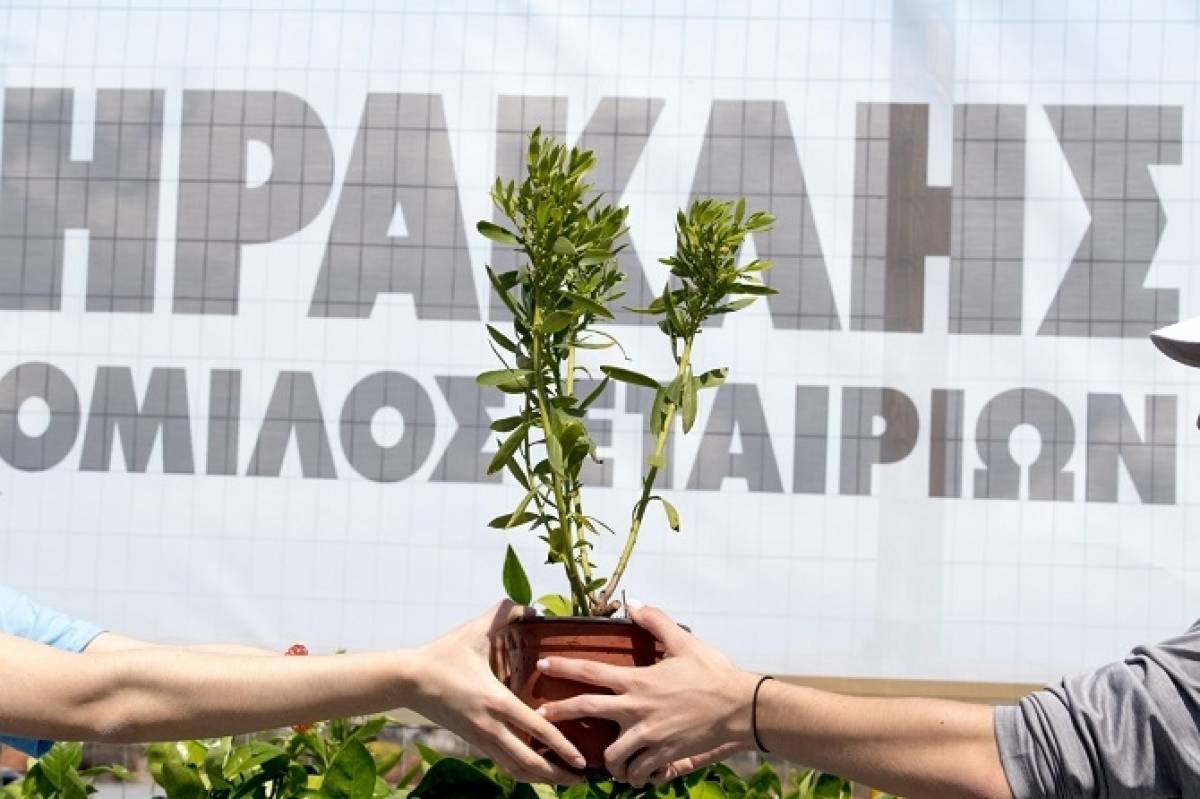 Ηρακλής: Προσφέρει ανάσα ζωής στο Μάτι και Ν.Βουτζά