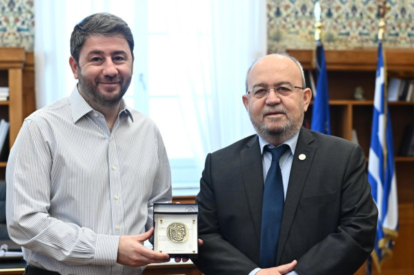 Ανδρουλάκης: Λάθος η υποστήριξη της Τουρκίας στον ΙΜΟ