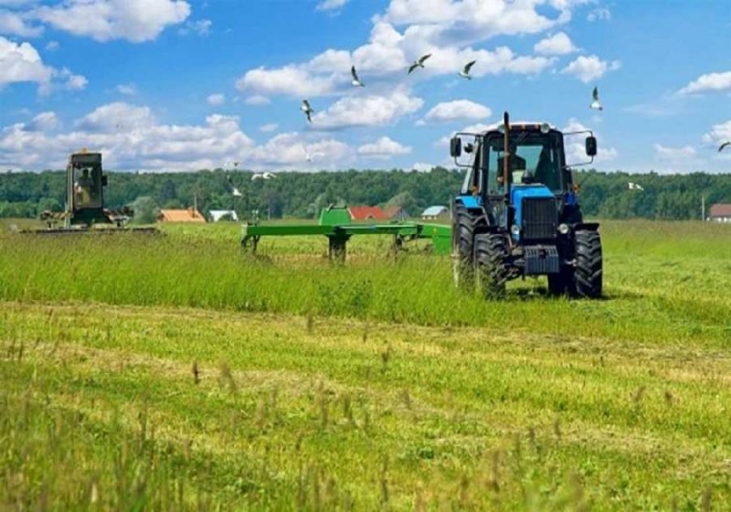Διαγραφή χρεών έως 60% στη νέα ρύθμιση για δανειολήπτες αγρότες