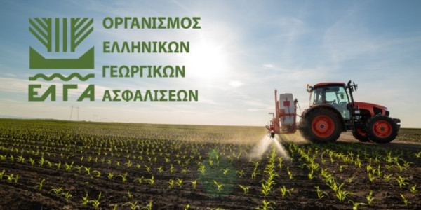 ΕΛΓΑ: Διευκρινήσεις για τις αιτήσεις αποζημίωσης παραγωγών από τις θεομηνίες