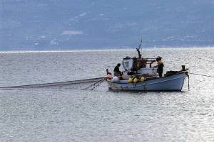 Μείωση 1,1% αλιευτικών σκαφών το 2019-Αύξηση 7,1% ποσότητας αλιευμάτων