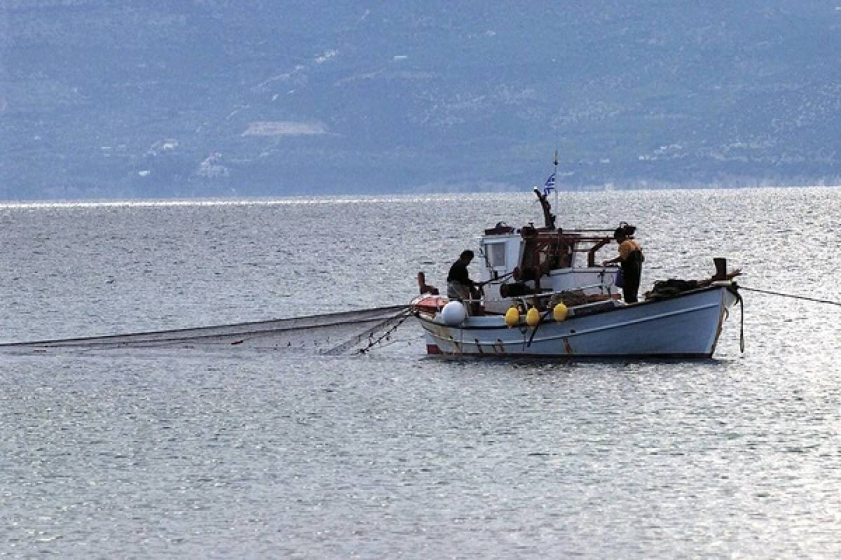 Μείωση 1,1% αλιευτικών σκαφών το 2019-Αύξηση 7,1% ποσότητας αλιευμάτων