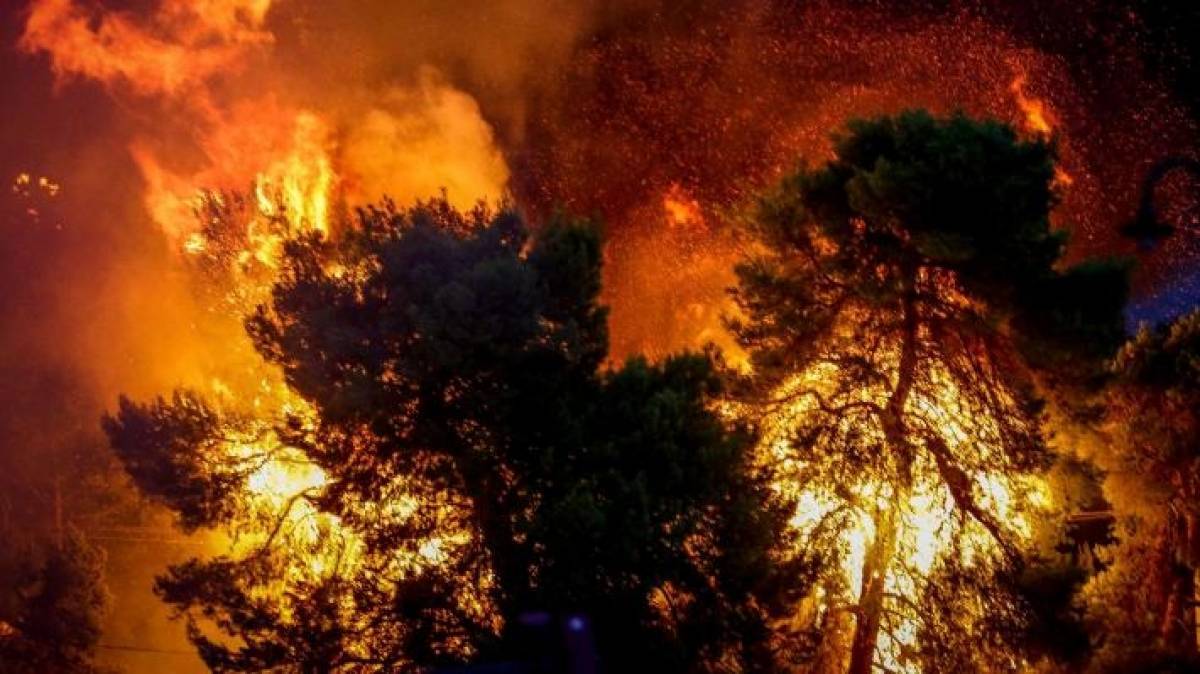 Πυρκαγιά σε δασική έκταση της Ζακύνθου
