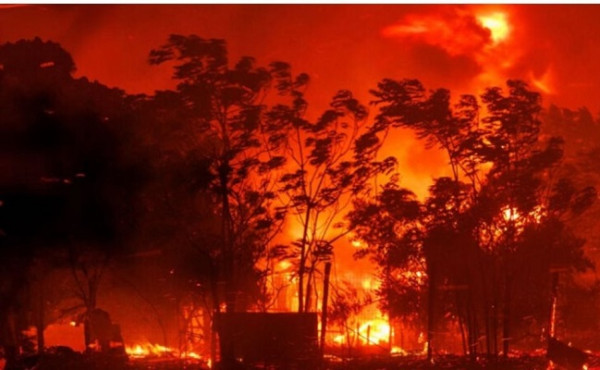 Πυρκαγιές για 10η μέρα στον Έβρο-Η διαδικασία για τις αποζημιώσεις
