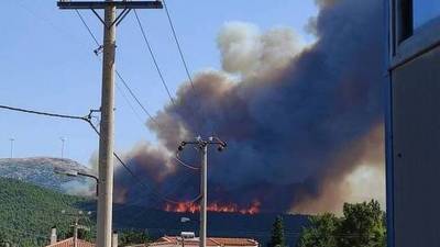 Νέα φωτιά στα Βίλια - Ισχυρές πυροσβεστικές δυνάμεις στην περιοχή
