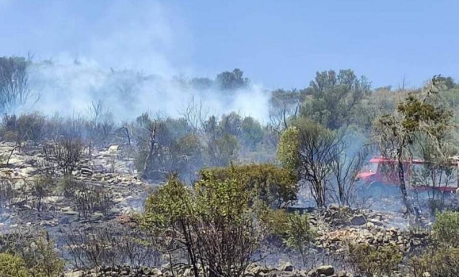 Πύρινη λαίλαπα και στην Ερμιονίδα-Στο νοσοκομείο πυροσβέστης με αναπνευστικά προβλήματα