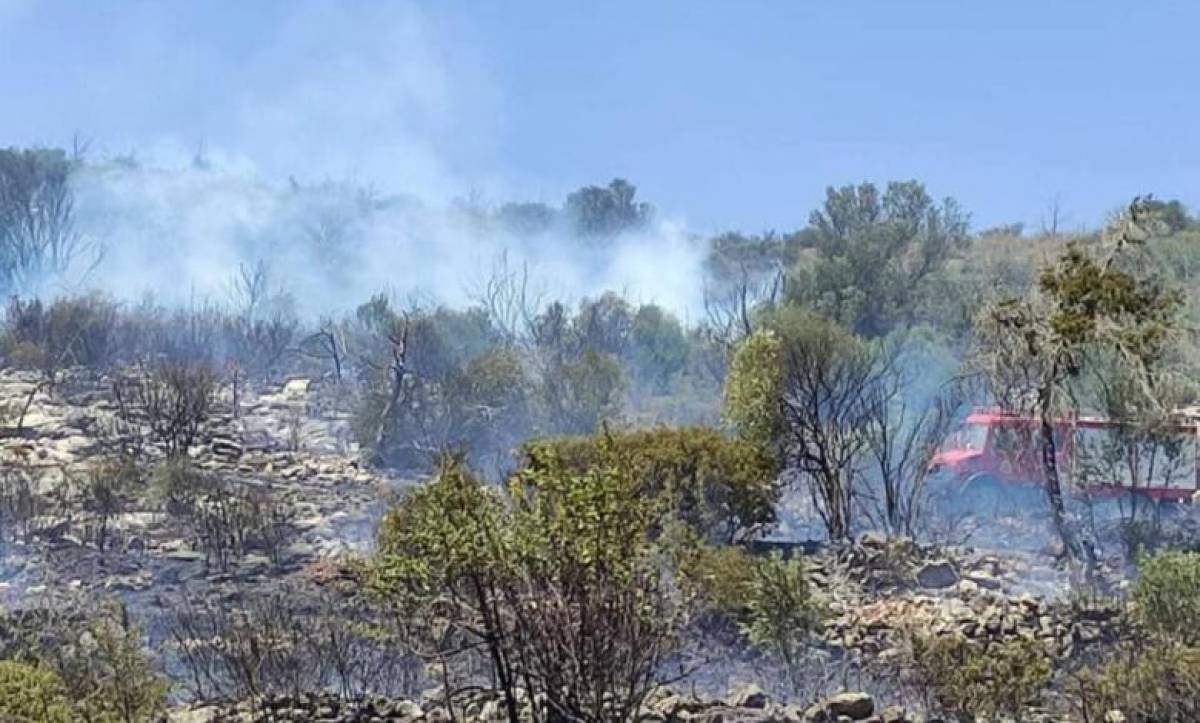 Πύρινη λαίλαπα και στην Ερμιονίδα-Στο νοσοκομείο πυροσβέστης με αναπνευστικά προβλήματα