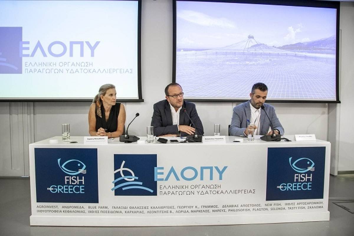 Ιχθυοκαλλιέργειες: Ανάχωμα στην «τουρκική» επέλαση στήνει ο κλάδος