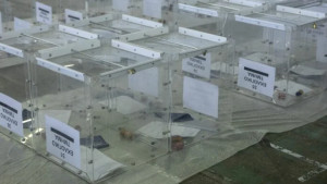 Singular Logic: Μέχρι τις 20:30 θα έχουμε ασφαλές εκλογικό αποτέλεσμα