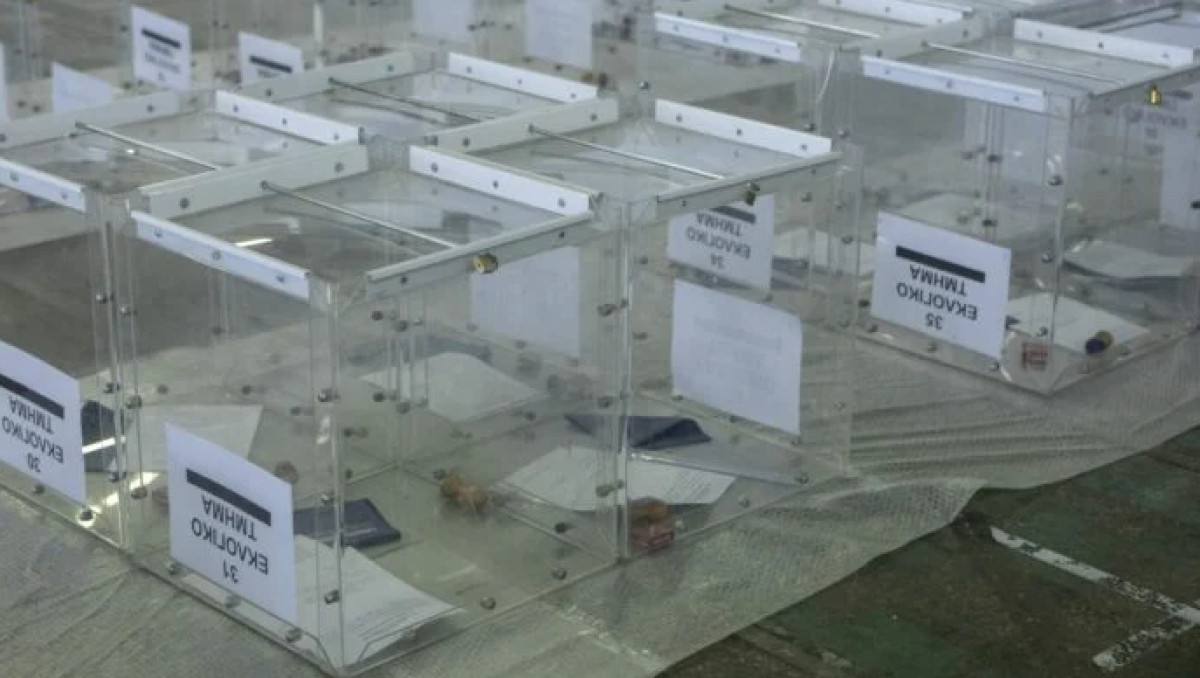 Singular Logic: Μέχρι τις 20:30 θα έχουμε ασφαλές εκλογικό αποτέλεσμα