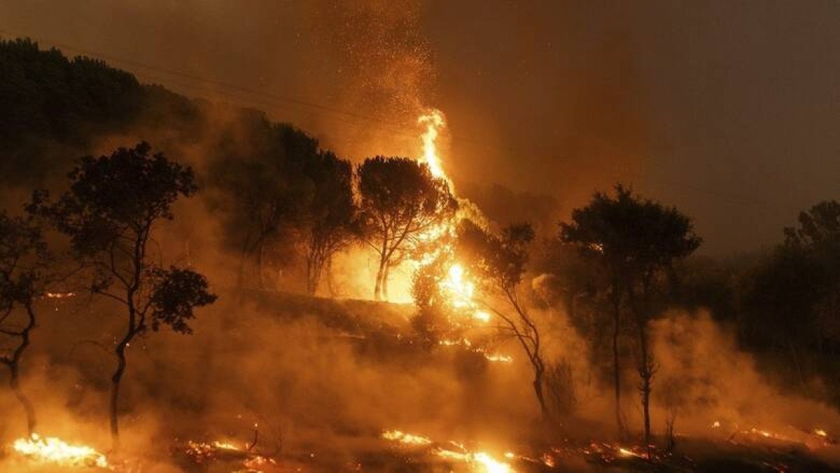 Σύλληψη για εμπρησμό για τη φωτιά στο Στεφάνι Κορινθίας