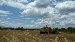 ΑΑΔΕ: Ανοίγει η ψηφιακή εφαρμογή για υπεύθυνη δήλωση κατοχής αγροτεμαχίων για την ΕΑΕ 2025
