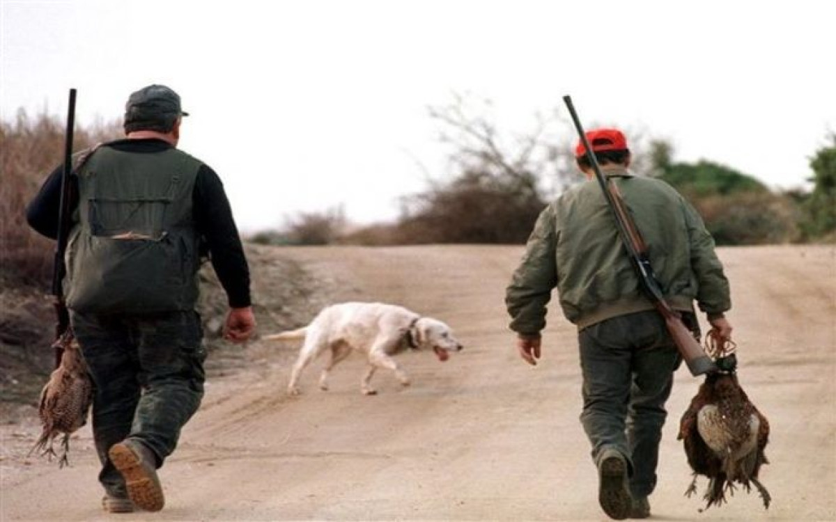 Ξεκινά στις 20 Αυγούστου η κυνηγετική περίοδος: Τι επιτρέπεται και τι όχι