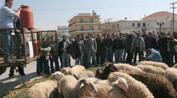 Συγκεντρώσεις διαμαρτυρίας προγραμματίζουν οι κτηνοτρόφοι