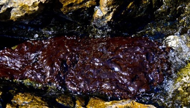 Αγωνία της τουριστικής αγοράς για το ναυάγιο στο Σαρωνικό