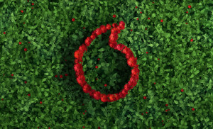 Η Vodafone Ελλάδας διακρίνεται ως Top Sustainable Company