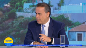 Παπασταύρου: Στο νέο πλαίσιο ανάπτυξης των ΑΠΕ θα υπάρχουν πλέον όρια και οριζόντιες απαγορεύσεις